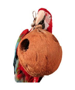 Coco Full Moon - Large Natural Chew Toy for Parrots